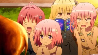 [To Love-Ru] Does the person involved know that you are imagining things like this?
