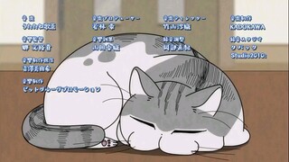 Ep. 13 Yoru wa Neko to Issho 🐈‍⬛️🙎‍♂️🌃🎭 (Sub Indo🇮🇩) | Summer 2022