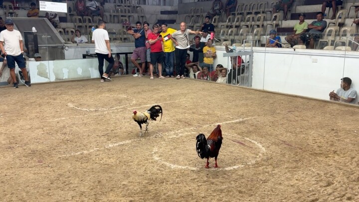 PCC 4 COCK FINALS THIRD FIGHT ENTRY NAME: AB NATAPPIAN