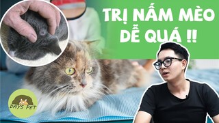 Cách trị nấm cho mèo đơn giản và hiệu quả mà không bị lây | Dayspet