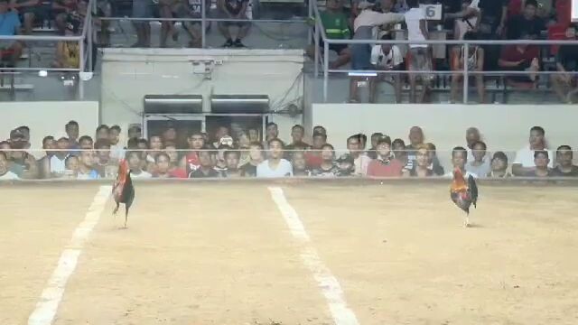 First fight October 31 CDM. Maganda ginawa di sinamahan ng swerte