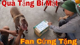 Món Quà Bí Ẩn Của Fan Cứng Tặng ToànQN | Săn Bắt Ẩm Thực Vùng Cao