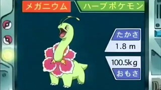 オーキド博士のポケモン講座(メガニウム)