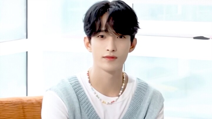 【เซเวนทีน】ผลงานเด่นที่ทำให้โด่งดังไปทั่ว – ไลน์ของน้องชาย