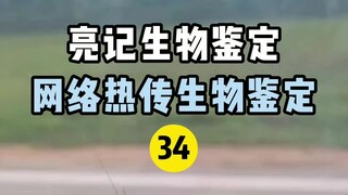 【การระบุทางชีวภาพของเหลียงจี】การระบุทางชีวภาพแบบฮอตอินเทอร์เน็ต 34