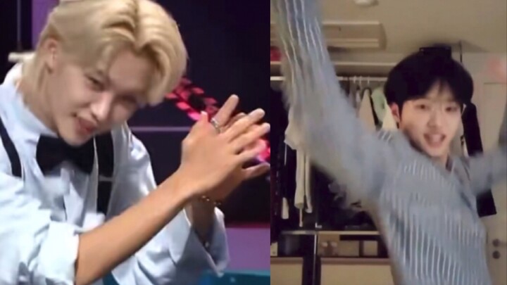 “Tôi không biết về điều đó.” “Tôi không chắc về vũ đạo của Panorama…”