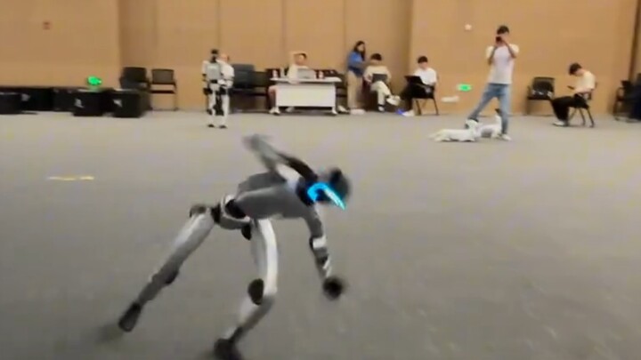 我的技能又提升了， 来看看怎么样吧！