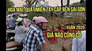 Háo hức cảnh người mua kẻ bán hoa mai, vạn thọ,... trên đường Bến Bình Đông, Xuân Canh Tý 2020