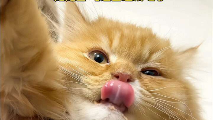 คนๆ นี้, ฉันยังกินไม่อิ่มเลย