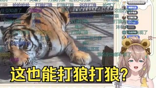 这视频太无敌了，全串完了😁博主叫娜娜，还在打狼打狼🤣