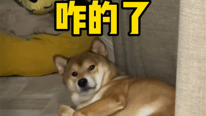 Mom's Big Boy (Anything Goes)