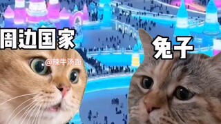 عندما تبدأ الدول المجاورة مرة أخرى في التقليل من شأنها | هاربين ليست كبيرة، لكن حبة الذهب الصغيرة تص