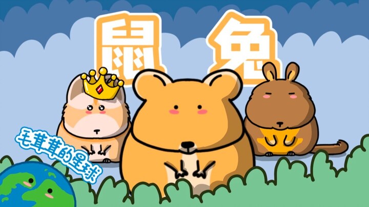 [Rabbit & Pika] With property everywhere, how did they end up as working-class rabbits?