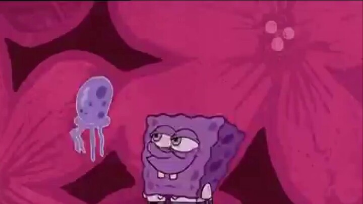 Lễ hội sứa (trong trường hợp một số bạn không biết bài hát Judgement của Spongebob xuất phát từ đâu)