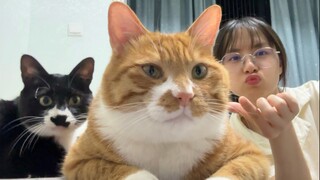 When I asked the kitten to cooperate with me for a video