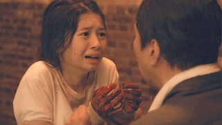 年度最佳日本电影，悬疑推理烧脑神作，堪比柯南在线！《祈祷落幕时》