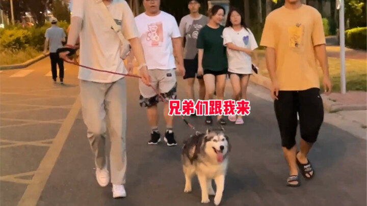 This dog has been completely spoiled by college students…