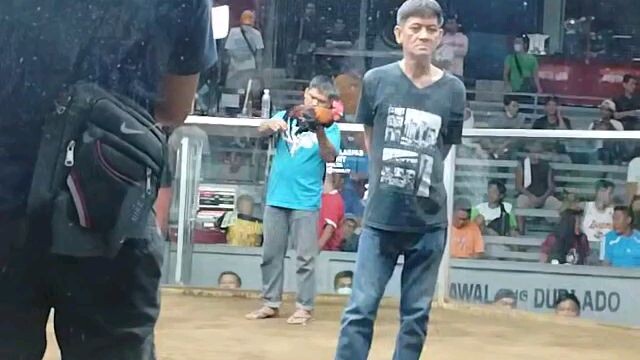 meron side win bloodline claret