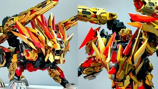 【Stop-motion animation】Tiger King, is that you? Analysis of the Golden Lion/Wolf Model Play in Zangw