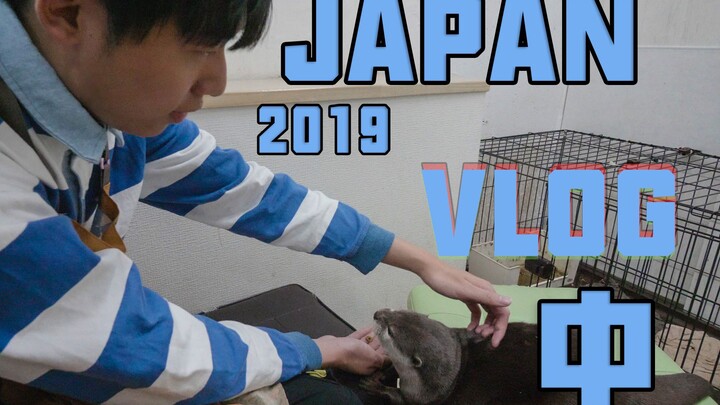 水獭真的是太可爱了！就是有点臭 2019日本VLOG(中）