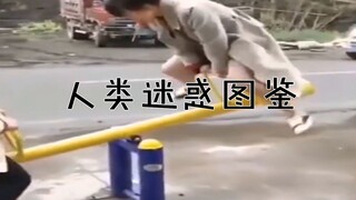 人类意外迷惑行为：无能狂怒有多好笑