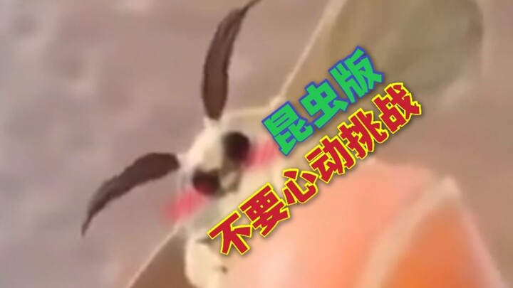 [Insect Edition] Don’t Get Excited Challenge! See how far you can make it