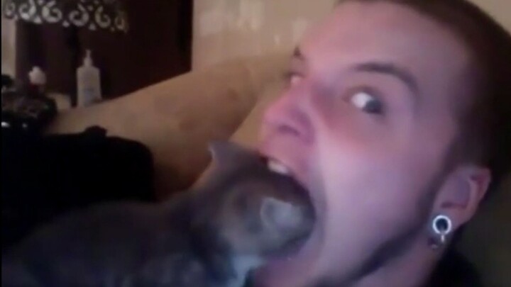 Delicious Cat Head