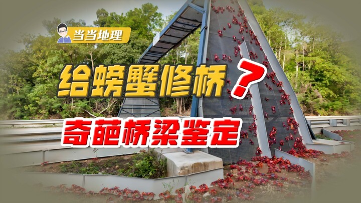 Aren’t bridges for people to walk on? Why build a special bridge just for crabs? [Dangdang Geography
