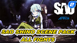 All Shino Fights Scene Pack | Sword Art Online_2