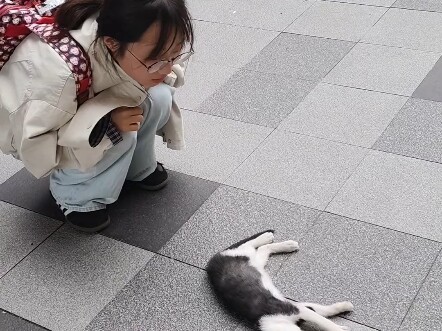 Kucing: Aku kan lagi ngantuk banget, kok tiba-tiba bangun ya?