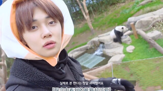 Saat TXT Cui Ranjun melihat Panda Lebao