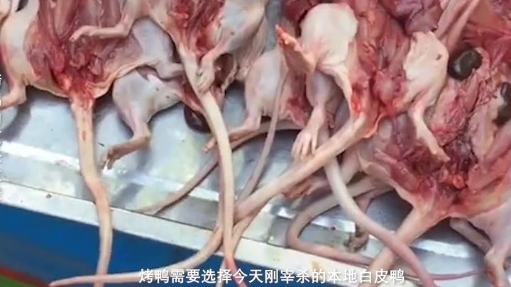 "Saya belajar banyak! Beginilah cara leher bebek diolah menjadi makanan lezat!"