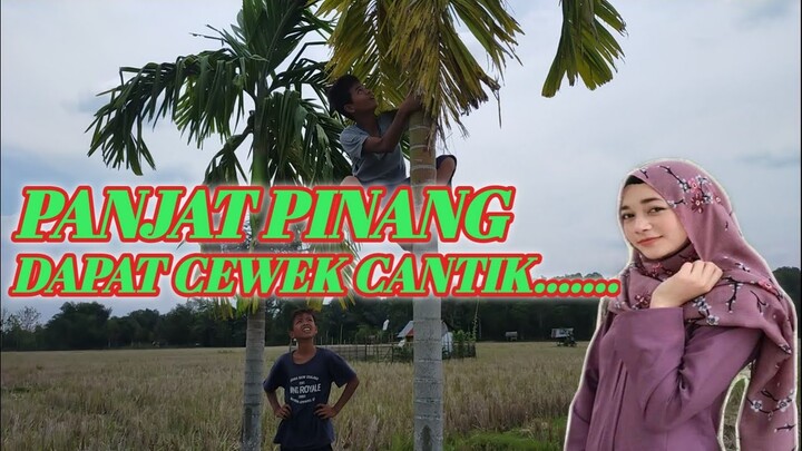 Panjat Pinang Anak - Anak (Video Lucu 2020 Desa Muara Lawai)