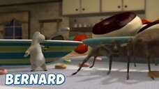 Bernard Bear || The Moth And More - Cartoon Children