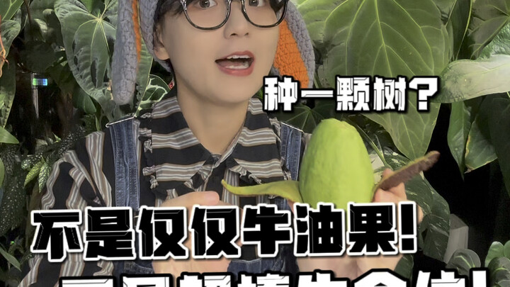 It's not just an avocado—it's an amazing living organism!