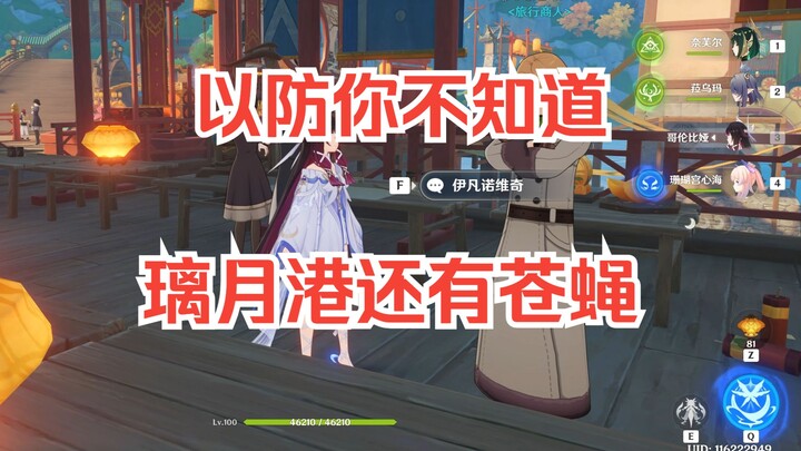 Oh my god, MiHoYo even added flies to Liyue!