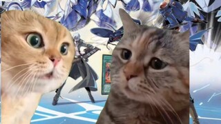 เพื่อน: ทำไมคุณถึงหยุดเคลื่อนไหวเมื่อฉันเห็นคุณเล่น Yu-Gi-Oh?