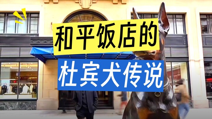 Di Shanghai masih ada satu aturan lagi: anjing Doberman