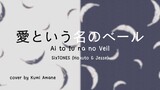 【COVER】SixTONES (Hokuto & Jesse) - Ai To Iu na No Veil (unproper but still good)