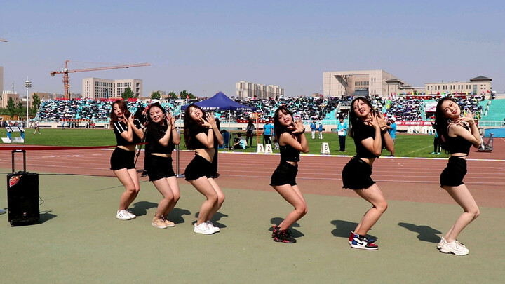 Senorita Dance Cover | Cheerleaders At Summer Sports 2019