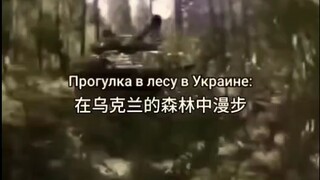 Tản bộ trong những khu rừng ở Ukraine