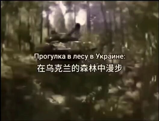 เดินเล่นในป่าของยูเครน
