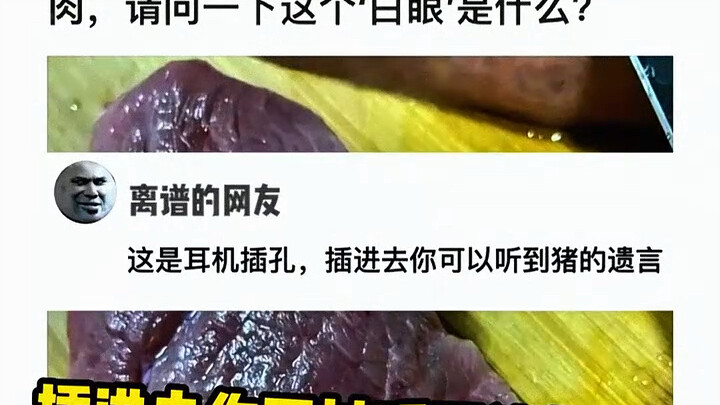 Netizens’ hilarious replies and clever moves are just baffling!