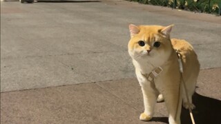 แม่ มีหน้าตาไหม?