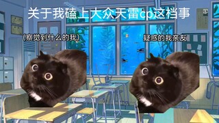 【猫meme】关于我磕上大众天雷cp这档事