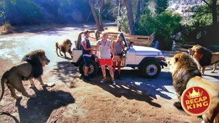 College Students are Terrorized by the Ravenous Undead Predators at the Zoo