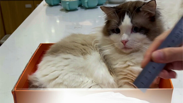 Advertiser: What bad luck—why did I even hire him?