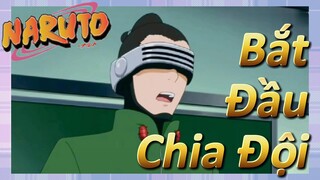 [Naruto] Đoạn Cut |Bắt Đầu Chia Đội