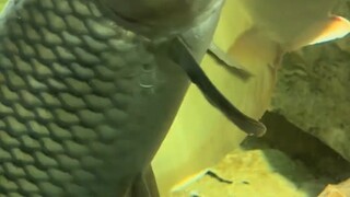 ทำไมต้าวซานหลีถึงชอบดูดพลังเพื่อนร่วมงานขนาดนั้น