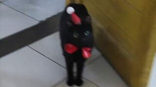 Meow Rules Xun Meow is controlled by various Christmas sound effects